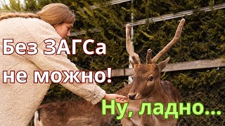 Российские женщины ставят рога супругам / Почему так? #shorts