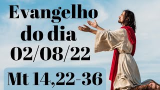 Evangelho do dia 02 de Agosto 2022, Mt 14,22-36