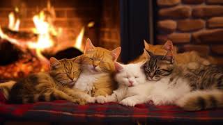 The Purring of Sleeping Kittens under a warm Fireplace 🔥 Relax and Sleep