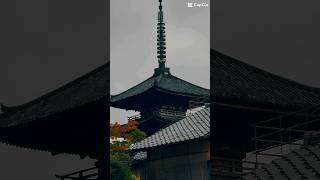 Hokan-ji Kyoto ⛩️🇯🇵 #japan #travel #japongo