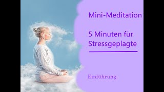 Einleitung Mini_Meditationen, 5 Minuten Meditationen / Warum sind Meditationen so wichtig?