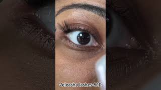 Veleasha Lashes-80D #lashes #falselashes #fakelashes #lashextensions  #makeup #eyelashextensions