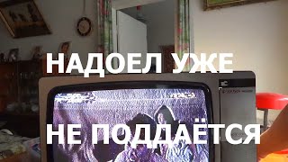 Опять легендарный SHARP. Мучения телемастера.