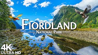 Fiordland National Park 4K (UHD) - Stunning Footage, Scenic Relaxation Film with Calming Music