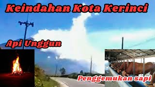 Keindahan Pemandangan Kota Kerinci || Api Unggun || Penggemukan Ternak Sapi