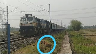 Last Days with Diesel | 02424 Dibrugarh Rajdhani passing through a crossing at 100Kmph | RF RAJ ROY