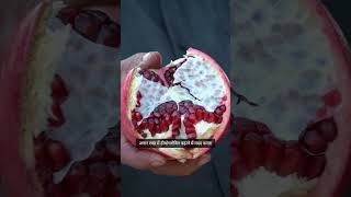 Fruit Facts Explained #ytshorts #foodshorts #fruits #reels #wrongbrain #shorts