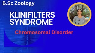 Klinefelter's Syndrome B.Sc 3rd Year Zoology||Genetic Disorder||Chromosomal disorder#genetics