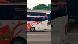 #pariwisata #buspariwisata #bus