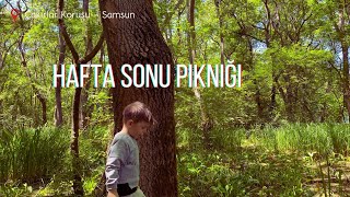 Hafta sonu huzurlu ve sakin aile pikniği -- Çakırlar Korusu, Samsun