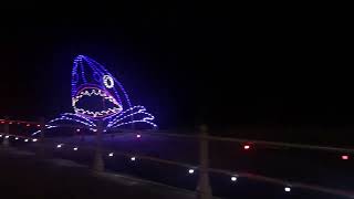 Shark Attack Christmas Lights