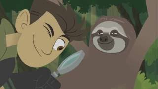 Aventuras com os Kratts ensopado de floresta  parte  1