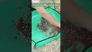 Gardening Planting Mat 2023 🌱🌱🌱 Link In the Description