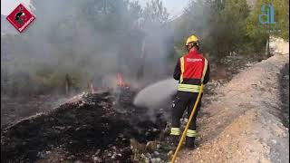 Hasta 8 medios aéreos trabajan en la extinción de un incendio forestal en Benasau