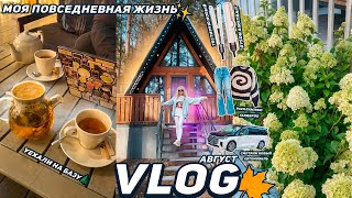 VLOG| МОЯ ПОВСЕДНЕВНАЯ ЖИЗНЬ! Уехали в Лес, Тестирую Dyson Aairstrait, Смотрим новый Авто / Август