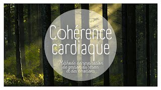 COHERENCE CARDIAQUE - 5 MINUTES DE RESPIRATION ANTI STRESS - LA FORET