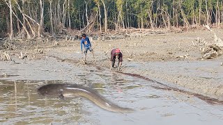 Amazing Hand Fishing In Sundarbans | Traditional Fishing Video | Costal Area Fishing