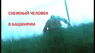 Снежный человек в Башкирии.  Кого сняли на мобильный Алексей Ч. и девушки?