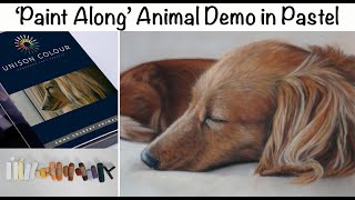 Pet Portrait using Unison Animal Set: 'Paint Along' Full Demo