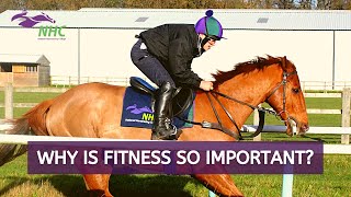 Why is fitness so important? Luey explains...