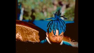 THE GENIUS OF XXXTENTACION