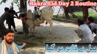 Bakra Eid Day 2 Full Routine || Haji Saab Gussa Ho gay 😡