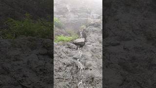 Lonavala| Following the water stream in Lohagad Fort