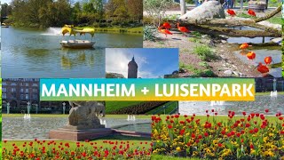 MANNHEIM CITY/ Day Trip from Frankfurt