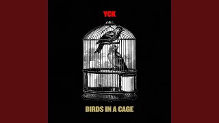 Birds in a Cage