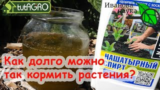 Это настоящее ЧУДО! Сколько и как долго можно использовать зеленую бродиловку в огороде? Все ответы!