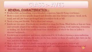 CLASS AVES