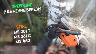 Спилили наклонённую березу по SPEEDLINE / ONLINE