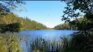 Tranquil Lake - Bird Song - Study, Meditate, Relaxation - 4K