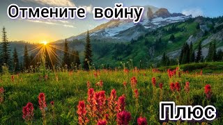 Отмените войну 🕊 (+) с текстом.