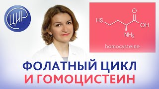 Фолатный цикл, мутации гена MTHFR, повышенный гомоцистеин. Что делать?