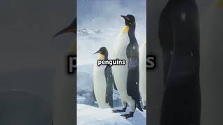 5 Incredible Penguin Facts You Didn’t Know!#youtubeshorts #funfacts #amazingfacts #educationalshorts