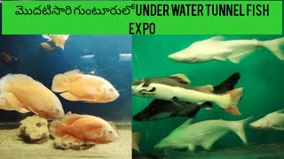 Under water exhibition in guntur|Under water tunnel exhibition|Under water tunnel expo|Fish aquarium