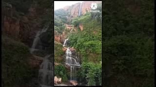 A Wonderful waterfall in Tirumala Ghat road || beautiful waterfalls #shorts #shortfeed #shortsviral