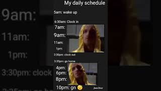 my daily schedule