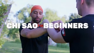 Chi Sao For Wing Chun Beginners