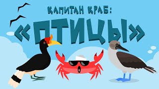 Капитан Краб: "Птицы"