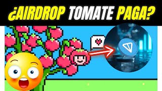 🍅 Como Ganar dinero con Airdrop Tomarket App Bot 2024 ? PAGA o No? Lo pongo a Prueba 😳