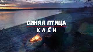 Синяя птица - Клен (караоке)