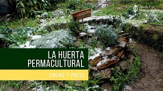 TESTIMONIAL| LA HUERTA PERMACULTURAL ONLINE 2021 | BEATRIZ DE ANDRES MOYA