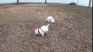 Playing with big sticks!