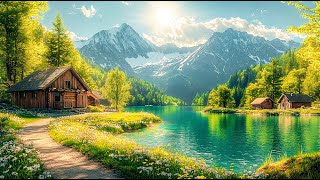 All Your Worries Will Disappear If You Listen To This Music🌿 Relaxing Music Calms The Nerves