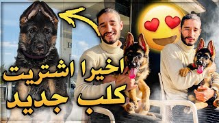 أخيرًا اشتريت كلب من سلالة نقية 🐕🔥