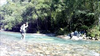 Fly Fishing River Vellach