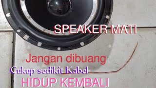 SPEAKER RESTORATION  !! SERVIS SPEAKER MATI TOTAL #speakerrusak #mattvariasi