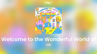 Welcome to the Wonderful World of  - LSD |Es-En| Lyrics